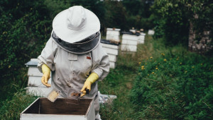 Вижте как да подготвите пчелите за зимата - Agri.bg