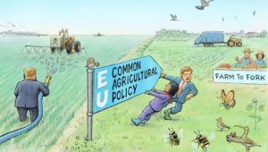 Европейски организации: ОСП трябва да се приведе в съответствие с европейската Зелена сделка - Agri.bg
