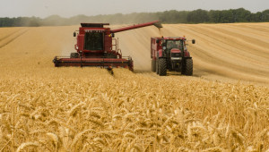 Области рекордьори по добиви от пшеница (КАРТА)