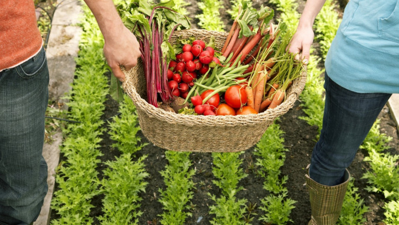 Анализ: България е с най-висок бюджет за обвързано подпомагане на плодове и зеленчуци в ЕС