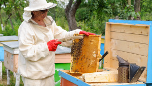 Близо 5 млн. лева потеглиха към сметките на пчелари за 2020 г. - Agri.bg