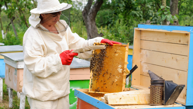 Близо 5 млн. лева потеглиха към сметките на пчелари за 2020 г.