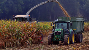 Последни данни: Над 15% по-малко царевица тази година