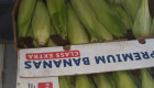 Продавам сладка царевица - Снимка 3