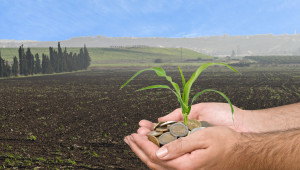 Агроминистрите решиха: Ще има доброволен таван над 100 000 евро в новата ОСП