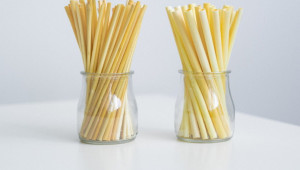Вместо пластмаса: Как се произвеждат сламки от ръж и тръстика - Снимка 4