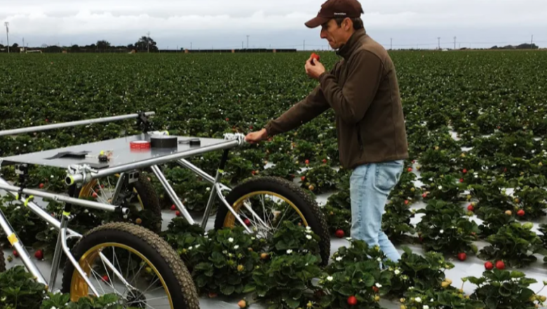 Google въвежда полеви роботи за селското стопанство
