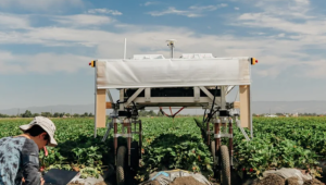 Google въвежда полеви роботи за селското стопанство - Снимка 4