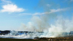 Санкционират дестилерия за изгарянето на растителни отпадъци - Agri.bg