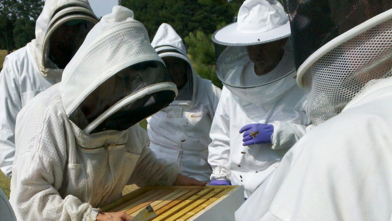 Съвет към пчеларите: Не пропускайте оксаловата киселина