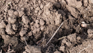 Земеделци от Крайморска Добруджа: Изминалата стопанска година беше катастрофа!