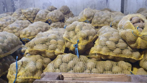 Производителите на картофи търсят финансово обезпечение на загубите си - Снимка 6