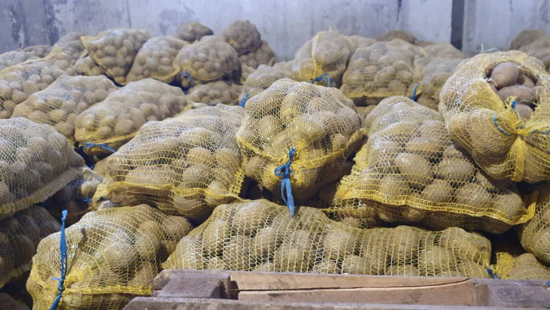 Производителите на картофи търсят финансово обезпечение на загубите си