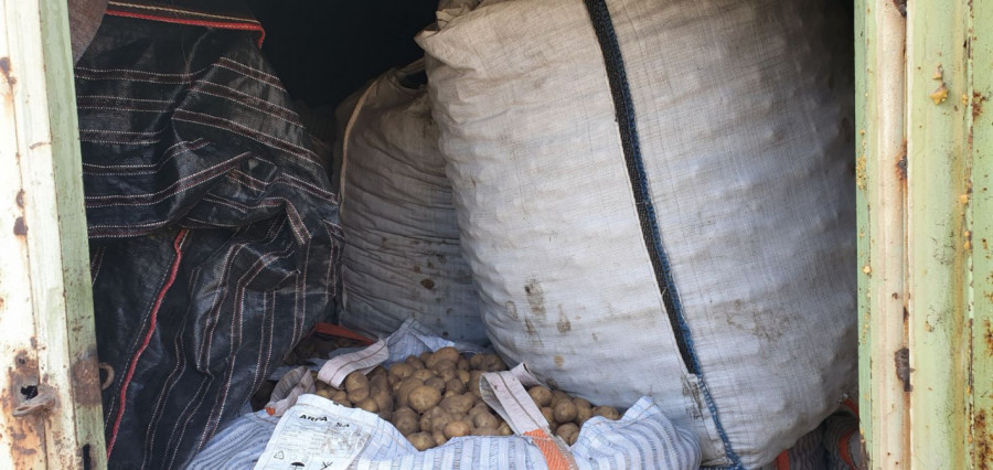 Картофи залежават по складовете - Снимка 5