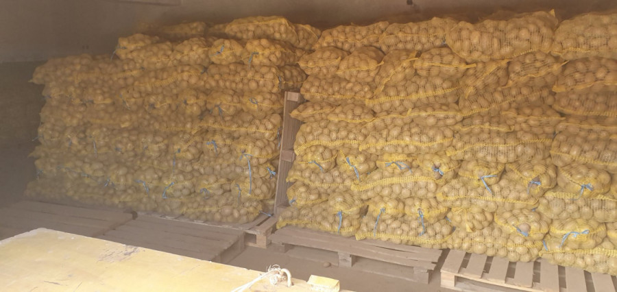 Картофи залежават по складовете - Снимка 7