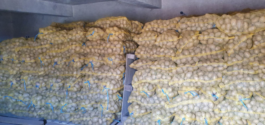 Картофи залежават по складовете - Снимка 10