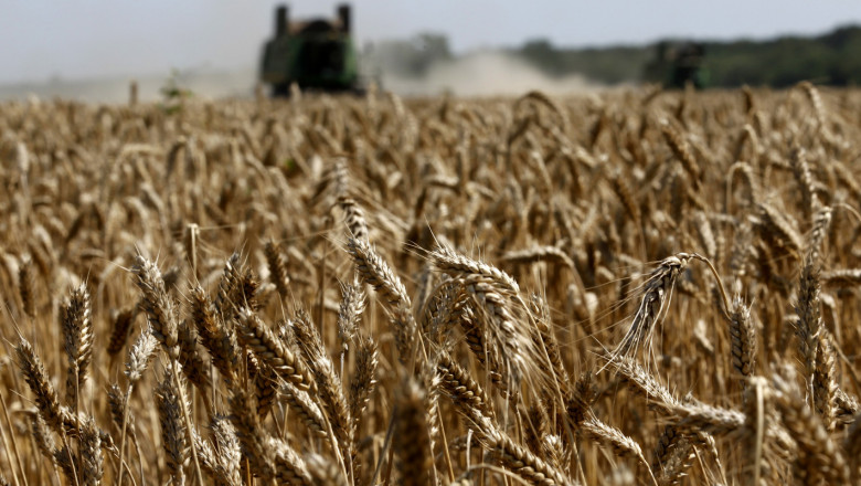 Износът на мека пшеница от ЕС и Великобритания удари 7,84 милиона тона