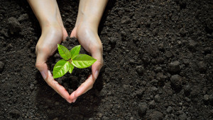 Обмяна на опит: Добрите практики за здрава почва