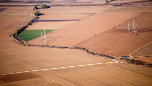 Зърнопроизводство: До 15% по-малко засети площи