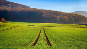 Идея: Предлагат два варианта за подпомагане на отпадналите от Украинската помощ фермери - Agri.bg