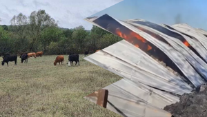 SOS: Семейство животновъди изгуби в пожар всичките си бременни крави