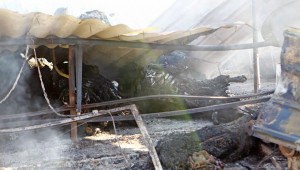 SOS: Семейство животновъди изгуби в пожар всичките си бременни крави - Снимка 4