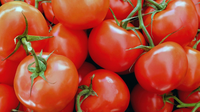 Ранно производство на домати в неотоплявани оранжерии