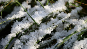 Първи сняг точно на Андреевден – това е добра поличба за стопаните