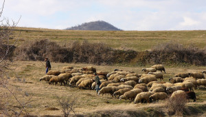 Фермери осигуряват куп екстри, но пастири няма - Agri.bg