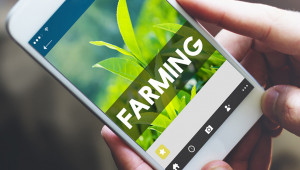 Готови ли са фермерите за дигитален и зелен преход?
