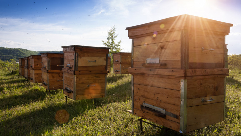 Решено: Пчелините ще се регистрират само в БАБХ