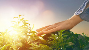 Агроиновации: 7 години Европейско партньорство за иновации - Agri.bg