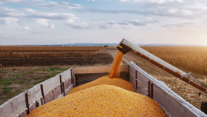 Русия въвежда ограничение на износа на зърно