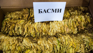 Брожения заради по-ниски цени на тютюн "Басми" - Agri.bg