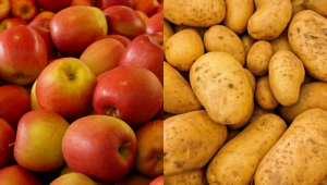 Картофите и ябълките поскъпват - Снимка 1