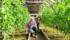 Германската субсидия за пенсия на фермерите се увеличава