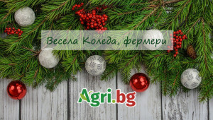 Весела и Щастлива Коледа от Агри.БГ! - Agri.bg