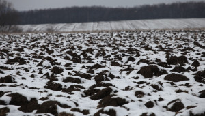 Агропрогноза: Валежи от дъжд и сняг