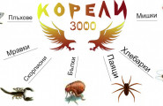 Корели 3000 ЕООД - лого на компанията