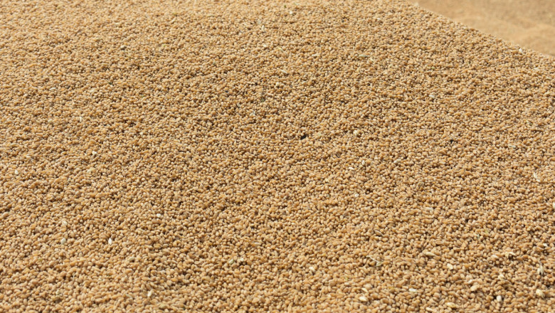 Борси: Пшеницата влезе в новата година на добри цени