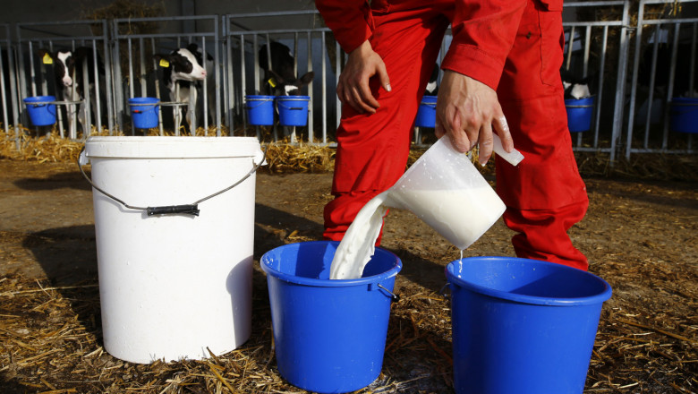 Бизнесът с млечни продукти на дребно процъфтява