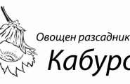 Овощен разсадник Кабуров, с. Ветрен дол - лого на компанията