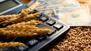 Пазар: Колко зърно изнесохме и колко внесохме? - Снимка 1