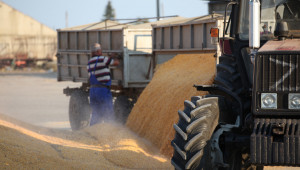 Аржентина ограничава износа на царевица