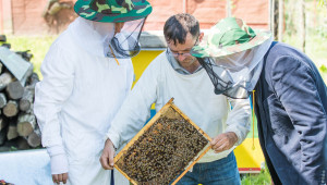 Експерти от БАБХ ще съветват пчеларите