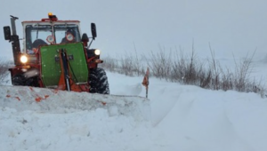 Усложнена обстановка: Зърнопроизводители извадиха тракторите и снегорините - Снимка 3