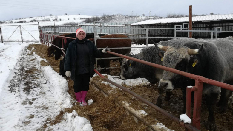 Дамите в селското стопанство: Стойка Жекова