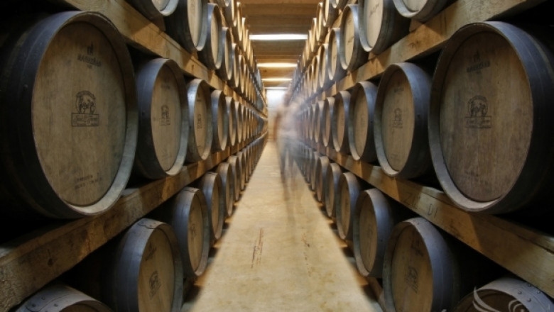Приемът за инвестиции във винарни отваря на 1 февруари