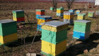 Продавам пчелни семейства,кошери,сандъци,рамки - Снимка 1