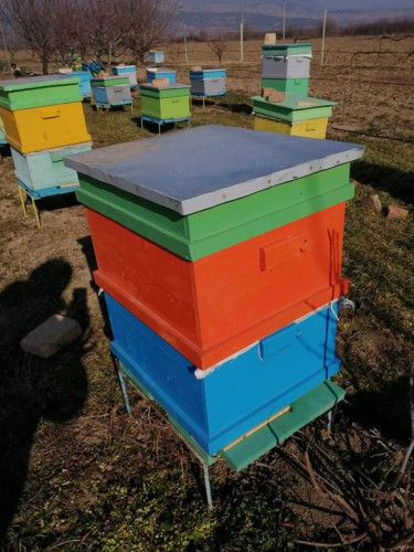 Продавам пчелни семейства,кошери,сандъци,рамки - Снимка 2